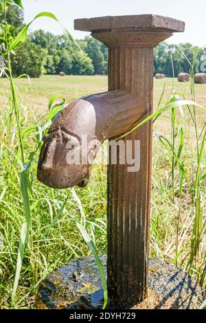 Alabama Orrville Old Cahawba Archeological Park, artesischer Gesichtsbrunnen 1852, Geisterstadt, Stockfoto