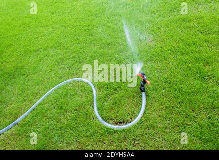 Sprinklerbewässerung im Garten.auf dem Rasen Stockfoto
