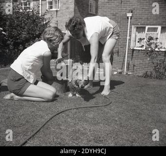 1960er Jahre, historisch, eine Mutter und Tochter draußen in einem Hintergarten, die ihren Hund waschen oder putzen, mit einer alten Blechschale und Glaskanne mit Wasser, England, Großbritannien. Der tropfende kleine Hund weiß nicht, was er daraus machen soll. Stockfoto