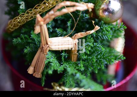 Nahaufnahme eines Strohpferdes an einem kleinen geschmückten weihnachtsfest Baum Stockfoto