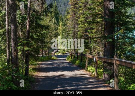 Emerald Lake Wanderweg. Yoho Nationalpark, Kanadische Rockies, British Columbia, Kanada. Stockfoto