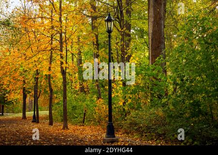 WA18866-00...WASHINGTON - Herbstzeit entlang eines Hauptweges durch Waterfront Park am Ufer des Wenatchee Flusses in Leavenworth. Stockfoto