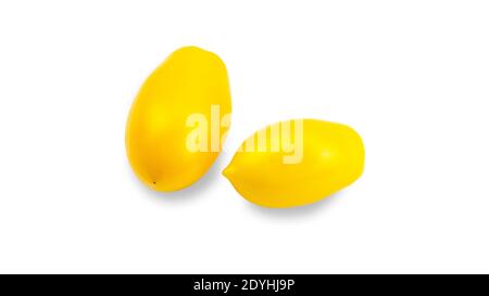 Gelbe Tomate längliche Form auf weißem Hintergrund. Tomatensorte Goldene Zitrone oder Akmore Treasure. Hochwertige Fotos Stockfoto