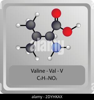 Valin – Val – V Aminosäure chemische Struktur. Molekülformel Ball und Stick Modell Molekül. Biochemie, Medizin und naturwissenschaftliche Ausbildung. Stock Vektor