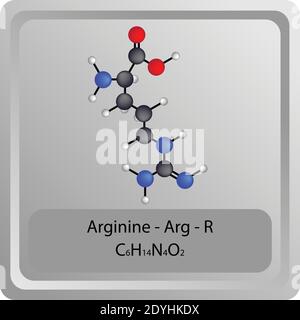 Arginin – Arg – R Aminosäure chemische Struktur. Molekülformel Ball und Stick Modell Molekül. Biochemie, Medizin und naturwissenschaftliche Ausbildung. Stock Vektor