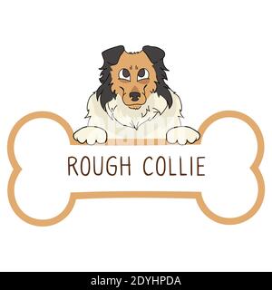 Cute Cartoon Scottish Collie auf Kragen Hund Tag Vektor Cliparts. Reinrassige Hundeidentifikationsmedaille für Haustier-ID. Haushund für Haustier pooch. Stock Vektor