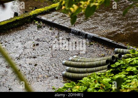 Wasabi Plantation in Izu, Japan. Ein leeres Wasabi-Feld. Hier sind bereits Saattöpfe bereit für die Pflanzung des Feldes Stockfoto