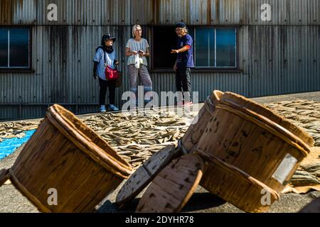 Yasuhisa Serizawa ist katsuobushi Herstellen, bei Nishiizu-Cho, Shizuoka, Japan Stockfoto