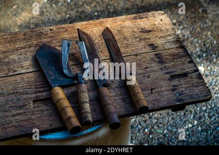 Yasuhisa Serizawa ist katsuobushi Herstellen, bei Nishiizu-Cho, Shizuoka, Japan Stockfoto