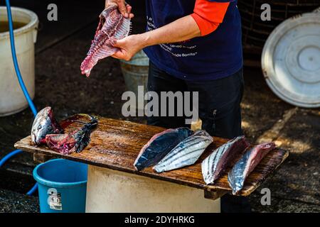Yasuhisa Serizawa ist katsuobushi Herstellen, bei Nishiizu-Cho, Shizuoka, Japan Stockfoto