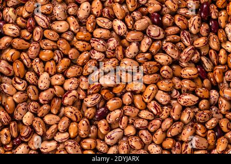 Weiße Cargamanto Bohnen, auch bekannt als Cranberry, Borlotti oder Romano Bohnen Hintergrund und Textur. Draufsicht. Stockfoto