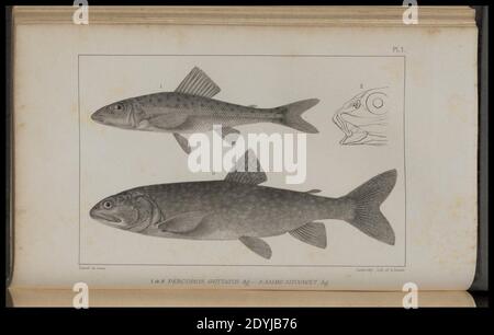 Lake Superior- seinen Charakter, Vegetation und Tiere, im Vergleich zu denen anderer ähnlicher Regionen (Pl. (8443772303). Stockfoto