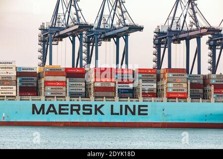 Maersk Schiff dockte im Hafen von Felixstowe, Suffolk, Großbritannien Stockfoto