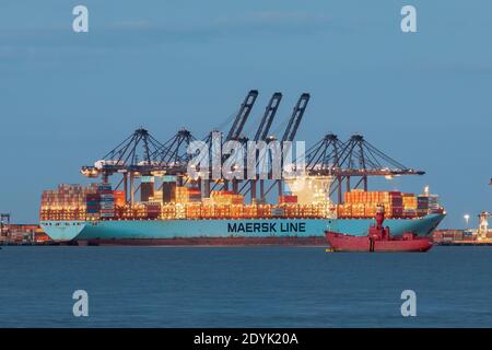 Maersk Schiff dockte im Hafen von Felixstowe, Suffolk, Großbritannien Stockfoto