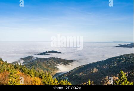 Wolkenmeer über Bergen bei schönem Wetter; aufgenommen im November 2019 in Freiburg, Deutschland Stockfoto