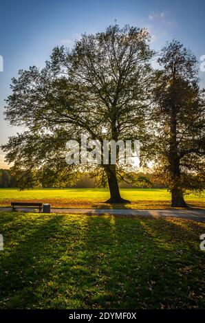 Rosenthal Waldpark in Leipzig, Sachsen, Deutschland. Nördlich des historischen Stadtzentrums gelegen, ist Rosenthal Teil des Denkmalschutzgebietes der Leipzi Stockfoto