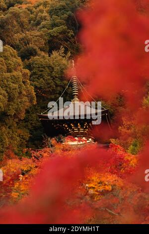 Kyoto Japan die Tahoto-Pagode am Hang von Eikando, bedeckt mit rotem, orangefarbenem und gelbem Herbstlaub. Stockfoto