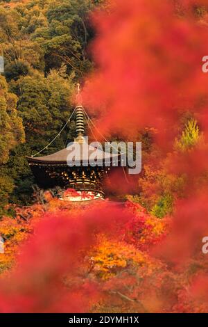 Kyoto Japan die Tahoto-Pagode am Hang von Eikando, bedeckt mit rotem, orangefarbenem und gelbem Herbstlaub. Stockfoto