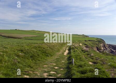 Wanderwege führen entlang des Ärmelkanals am Cap Gris Nez (graues Nasenkap), an der Cote d'Opale, Pas-de-Calais, Nordfrankreich. Stockfoto