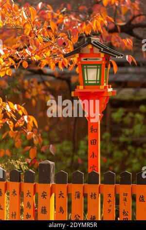 Kyoto Japan Rote, orange und gelbe Herbstblätter hängen über der traditionellen orangefarbenen Laterne in der Nähe des Tatsumi Daimyojin-Schreines in der Shinbashi Dori Street Stockfoto