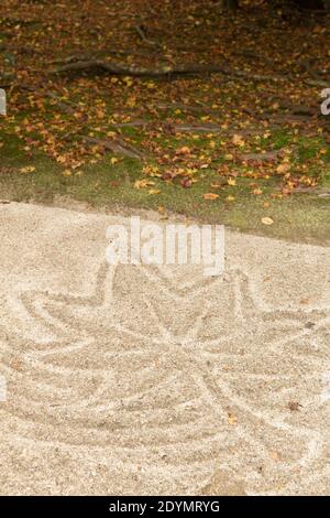 Kyoto Japan die Formen von Ahornblättern werden in den Sand geharkt, um den Herbst im Zen-Steingarten am Honen-in-Tempel zu feiern Stockfoto