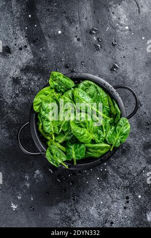 Frische Spinatblätter in einem Sieb. Schwarzer Hintergrund. Draufsicht Stockfoto