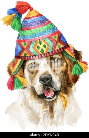 Niedlicher Hund in chullo Hut. Hund T-Shirt Grafiken. Aquarell tricolor Hund Illustration Stockfoto