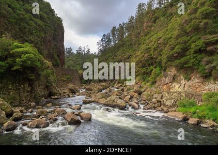 Die Karangahake Gorge, Neuseeland. Der Fluss Ohinemuri fließt am Fuße eines tiefen Tals. Der State Highway 2 verläuft links an der Klippe entlang Stockfoto