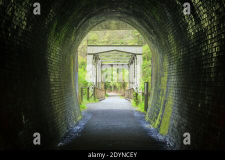 Blick von innen auf einen dunklen alten Eisenbahntunnel, mit Blick auf eine Brücke und einen Wald. Fotografiert in der Karangahake Gorge, Neuseeland Stockfoto