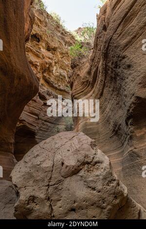 Malerische Kalksteinschlucht, Barranco de las Vacas in Agüimes, Gran Canaria, Kanarische Inseln Spanien. Geologie-Konzept. Stockfoto