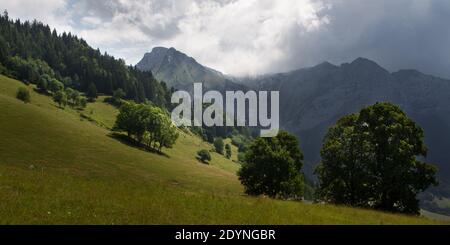 Panorama einer schönen Bergkulisse in den französischen alpen in der Nähe des Sees annecy, Haute-savoie mit Bäumen auf einer abfallenden Wiese und Bergen und dramatischen Himmel Stockfoto