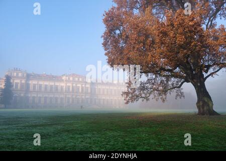 Morgennebel in der königlichen Villa von Monza, Italien Stockfoto