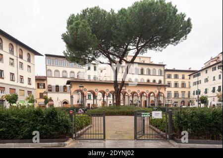 Florenz, Italien - 2020. Dezember 22: Piazza dei Ciompi ist ein Platz im historischen Zentrum von Florenz. Eine große alte Kiefer im zentralen Blumenbeet. Stockfoto