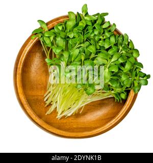 Bockshornklee Mikrogrün in einer Holzschale. Bereit, grüne Sprossen und Triebe von Trigonella foenum-graecum zu essen. Verwendet als Kräuter und Gemüse.