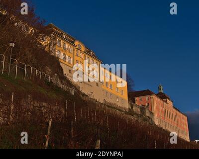 Schöner Blick auf die Weinberge des Staatsweingutes Meersburg und historische Gebäude mit rosa und gelb gefärbten Fassaden am Nachmittag. Stockfoto