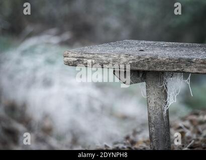 Abstraktes Bild mit dem Rand einer alten Holzbank. Stockfoto
