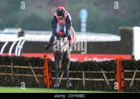 Chester Williams Reiten Honneur d'Ajonc Fall am letzten Zaun mit dem Rennen auf ihre Gnade in der Get Your Ladbrokes 1 Kostenlose Wette Einführung Juvenile Hürde auf Kempton Park Racecourse, Surrey. Stockfoto