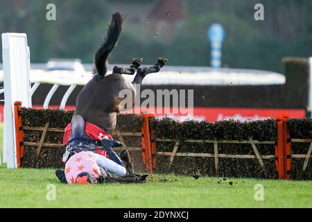 Chester Williams Reiten Honneur d'Ajonc Fall am letzten Zaun mit dem Rennen auf ihre Gnade in der Get Your Ladbrokes 1 Kostenlose Wette Einführung Juvenile Hürde auf Kempton Park Racecourse, Surrey. Stockfoto