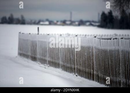 Alte Holzzaun mit Schnee bedeckt. Winterlandschaft in Litauen Stockfoto