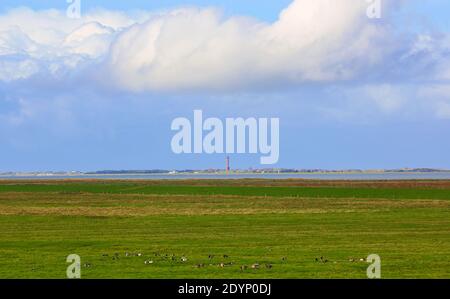 Hier an der Nordseeküste in Ostfriesland können Sie Ihre Seele baumeln lassen. In der Ferne sieht man die Insel Norderney. Stockfoto