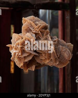 WÜSTENROSE - Wüstenrose ist der umgangssprachliche Name, der Rose-ähnlichen Formationen von Kristallhaufen aus Gips oder Baryten gegeben wird, die reichlich Sand Gra enthalten Stockfoto