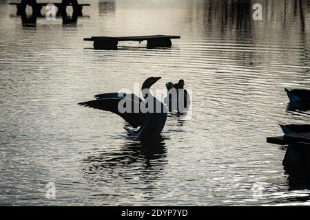 Wolvercote, Oxfordshire, Großbritannien. 27. Dezember 2020. Picknicktische im Wolvercote Common sind überflutet. Überschwemmungen in Oxfordshire. Sturm Bella brachte noch mehr Regen nach Oxfordshire und verursachte Überschwemmungen in tief liegenden Gebieten. Viele Menschen sind aus der Ausübung in der Sonne. Kredit: Sidney Bruere/Alamy Live Nachrichten Stockfoto