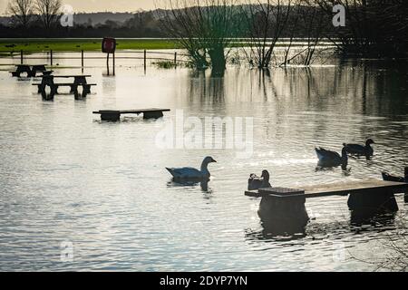 Wolvercote, Oxfordshire, Großbritannien. 27. Dezember 2020. Picknicktische im Wolvercote Common sind überflutet. Überschwemmungen in Oxfordshire. Sturm Bella brachte noch mehr Regen nach Oxfordshire und verursachte Überschwemmungen in tief liegenden Gebieten. Viele Menschen sind aus der Ausübung in der Sonne. Kredit: Sidney Bruere/Alamy Live Nachrichten Stockfoto