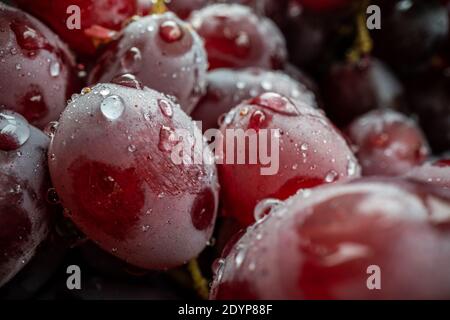 Wassertropfen auf gewaschene Trauben in der Schüssel Stockfoto