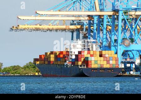 Containerschiffe unter den Entladekranen. Stockfoto