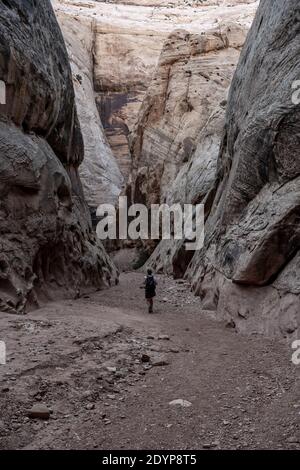 Frau geht in den Grand Wash Canyon im Capitol Reef National Parken Stockfoto