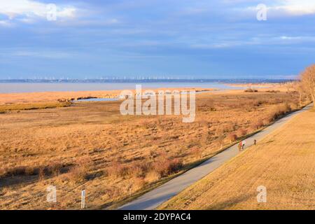 Illmitz: Blick nördlich des Neusiedler Sees vom Aussichtsturm bei Hölle im Nationalpark Neusiedler See–Seewinkel im Neusiedler See (Neusiedler See) Stockfoto