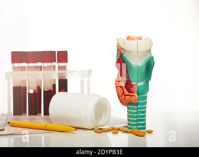 Diagnose- und Behandlungskonzept für Schilddrüsenerkrankungen. Anatomisches Modell der Schilddrüse, Blut für die Analyse in Reagenzgläsern und Pillen für endokrinologische t Stockfoto