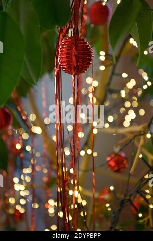 Weihnachtskugeln und Lichter schließen sich in Feigenbaum Stockfoto