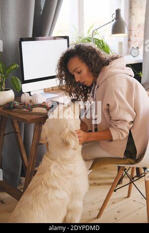 Junge Frau, die mit ihrem Hund spielt, während sie an ihr sitzt Arbeitsplatz mit Computer und Arbeit Stockfoto